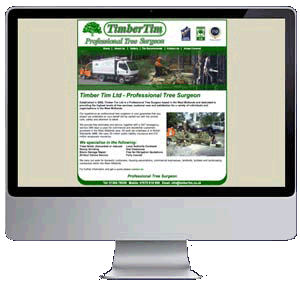 Web Site Design